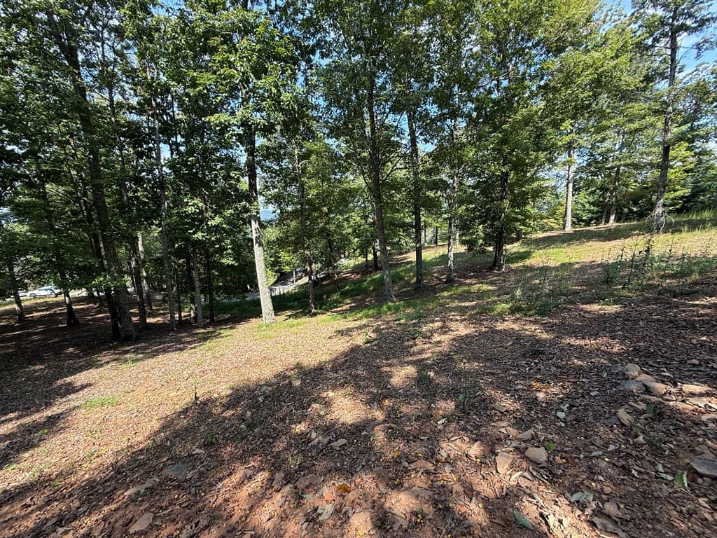 0 Madison Lane, Murphy NC 28906 - Photo
