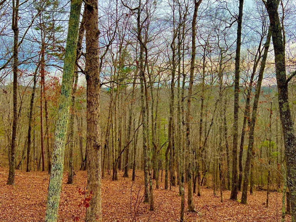 208 Harris Ridge Drive, Ellijay GA 30540 - Photo