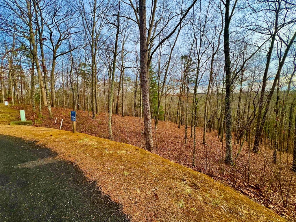 208 Harris Ridge Drive, Ellijay GA 30540 - Photo