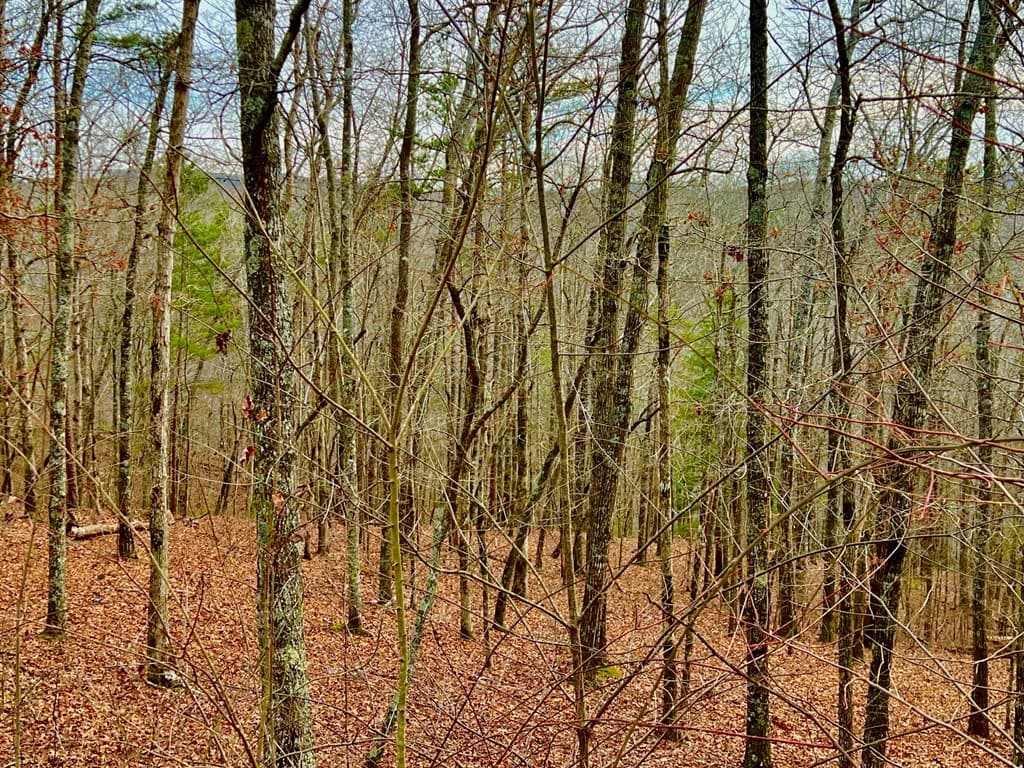 208 Harris Ridge Drive, Ellijay GA 30540 - Photo