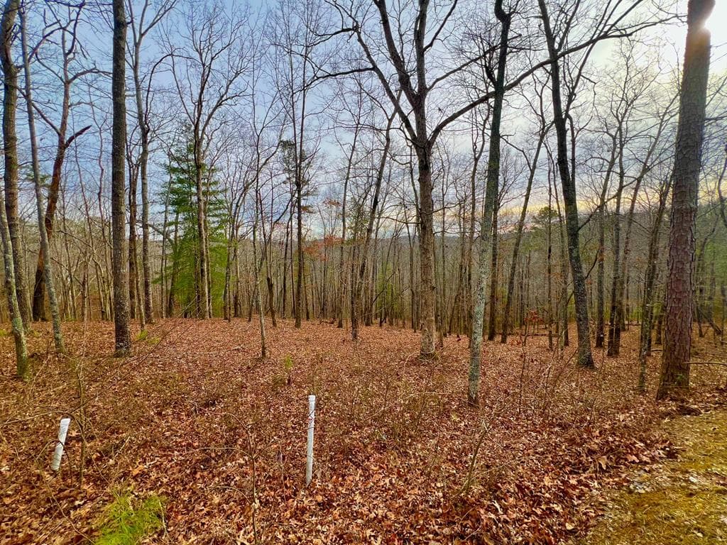 208 Harris Ridge Drive, Ellijay GA 30540 - Primary photo