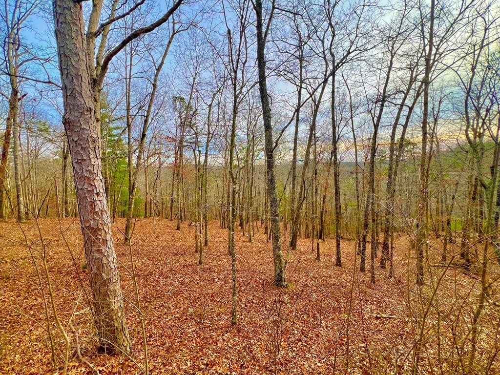 208 Harris Ridge Drive, Ellijay GA 30540 - Photo
