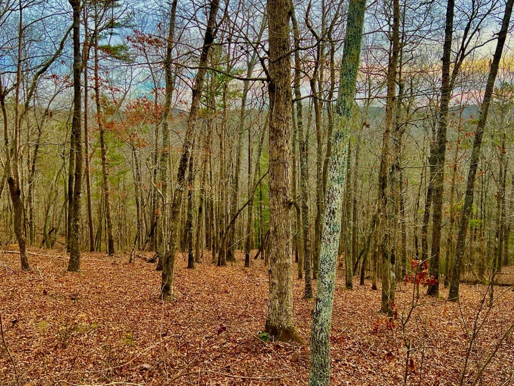208 Harris Ridge Drive, Ellijay GA 30540 - Photo