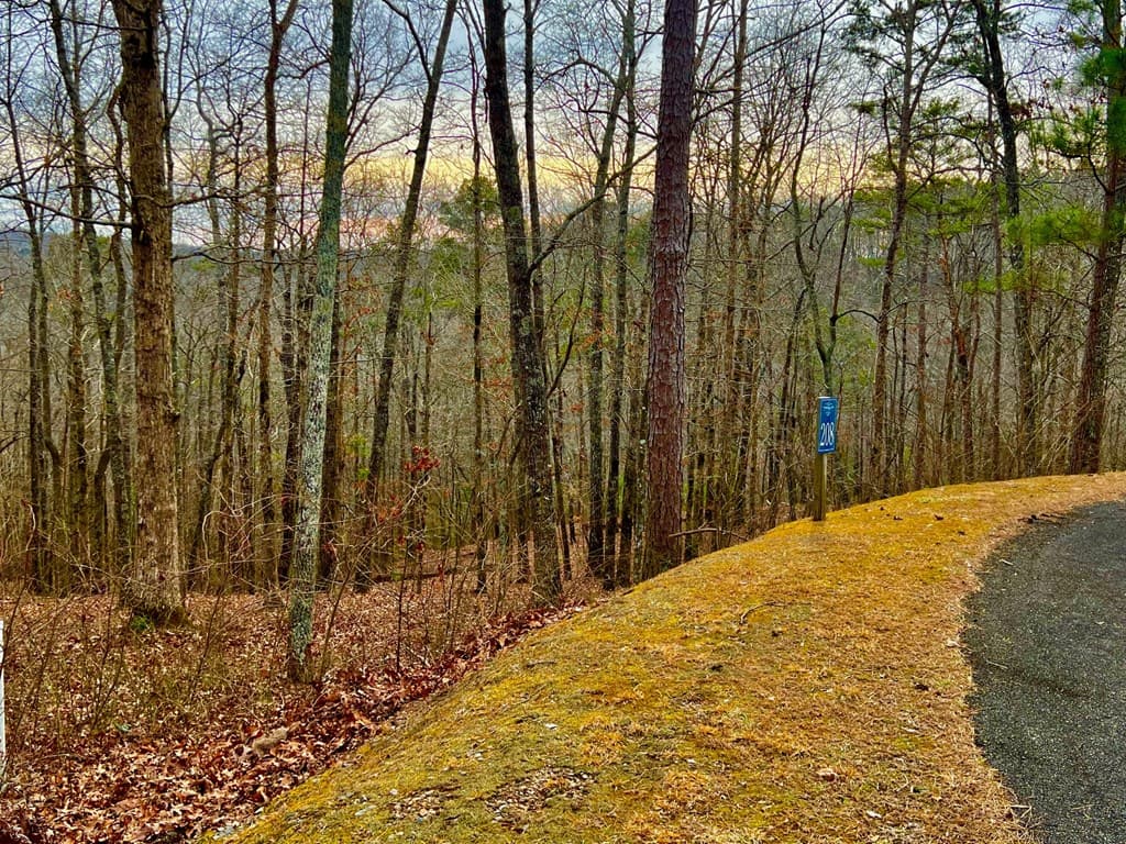 208 Harris Ridge Drive, Ellijay GA 30540 - Photo