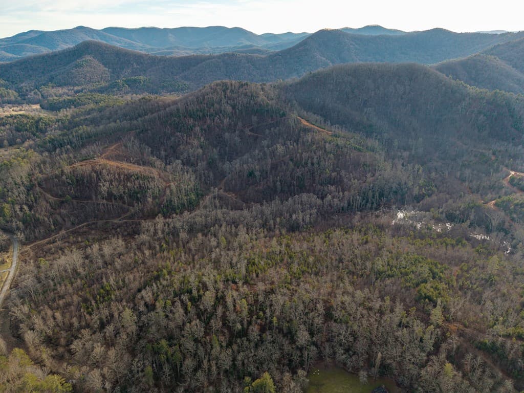 156+ AC Higdon Creek Road, Blue Ridge GA 30513 - Photo