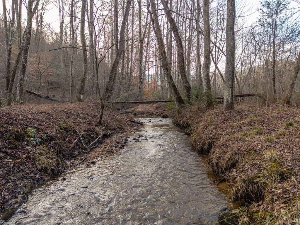 156+ AC Higdon Creek Road, Blue Ridge GA 30513 - Photo