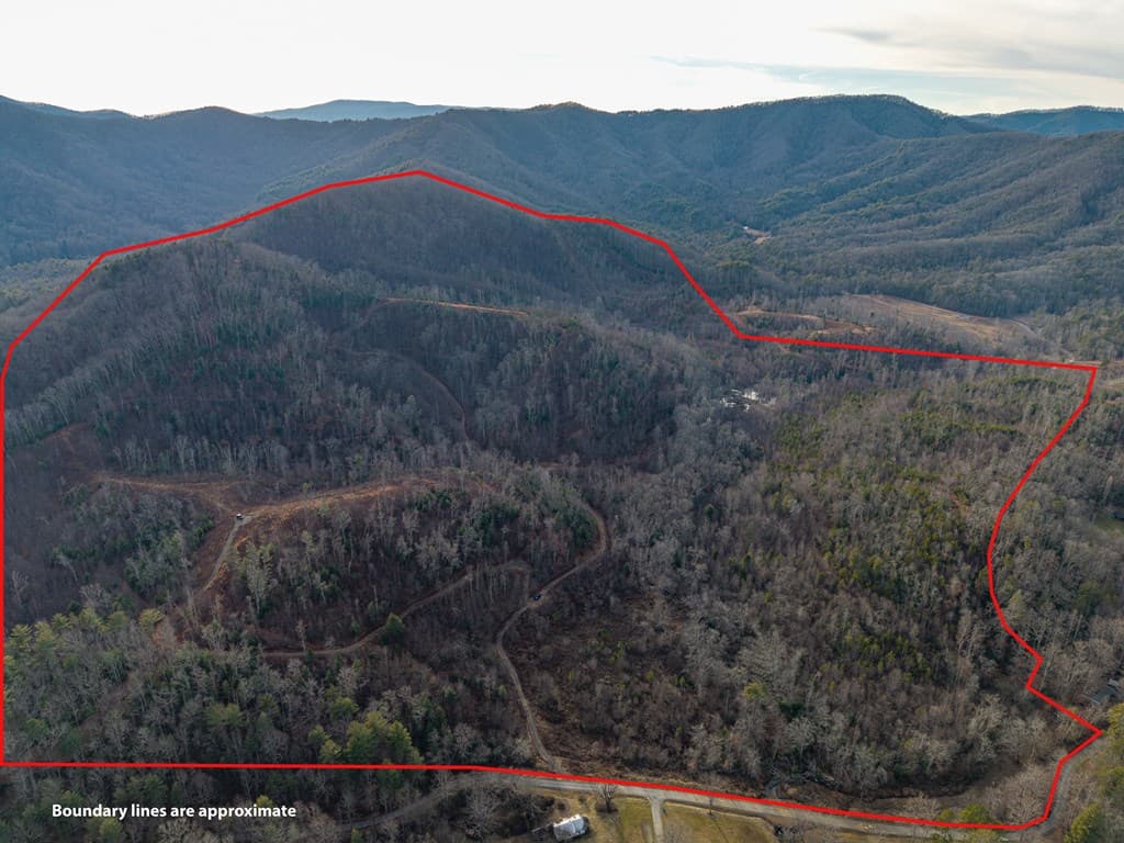 156+ AC Higdon Creek Road, Blue Ridge GA 30513 - Photo