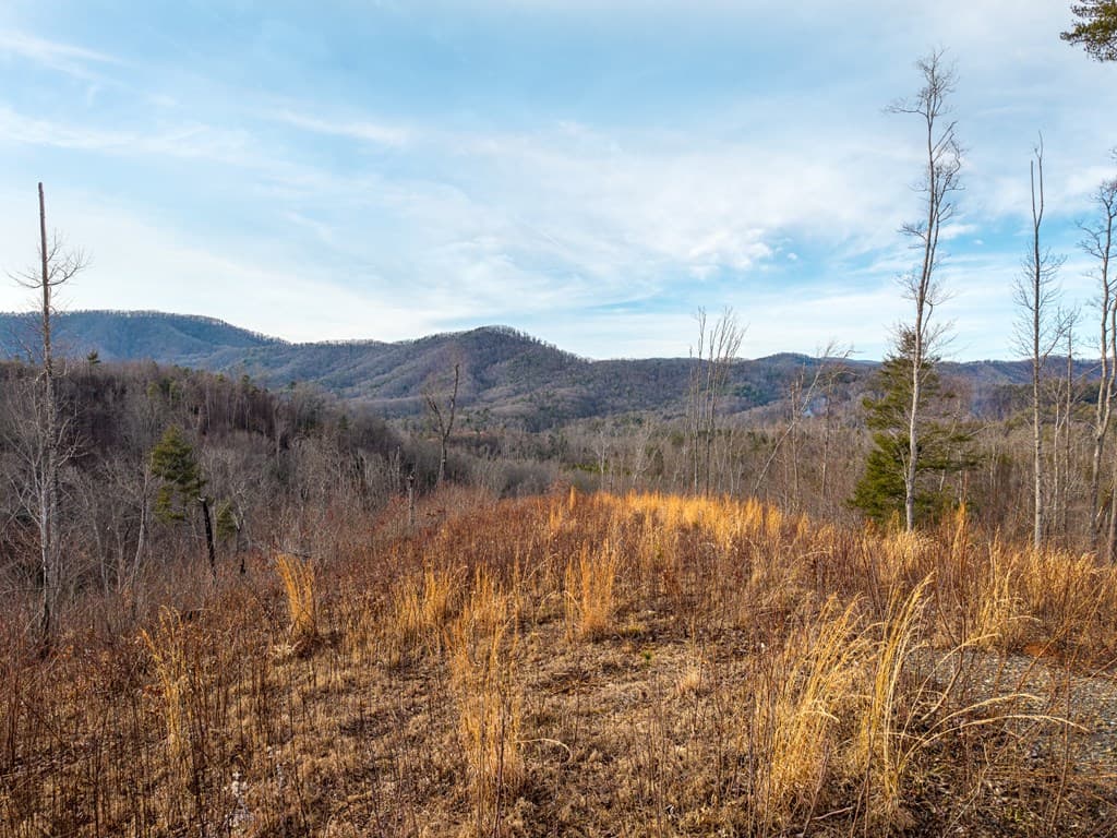 156+ AC Higdon Creek Road, Blue Ridge GA 30513 - Photo