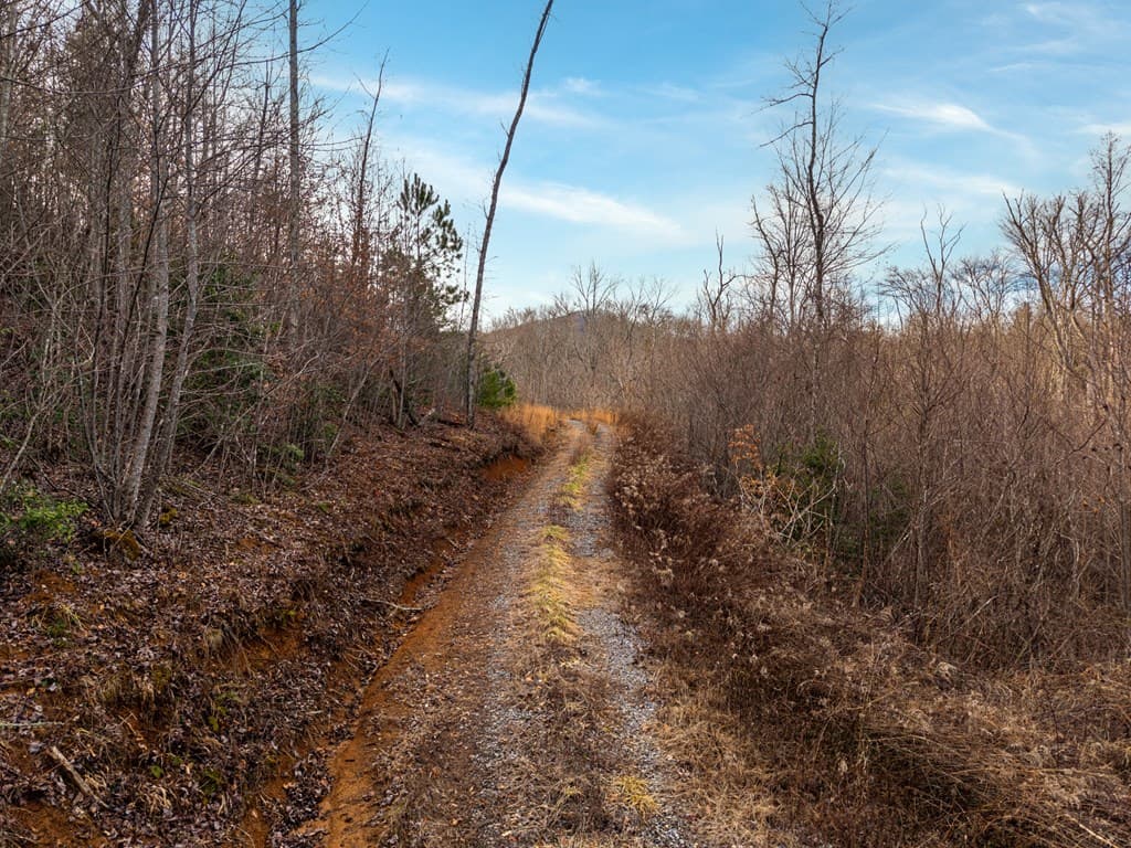 156+ AC Higdon Creek Road, Blue Ridge GA 30513 - Photo