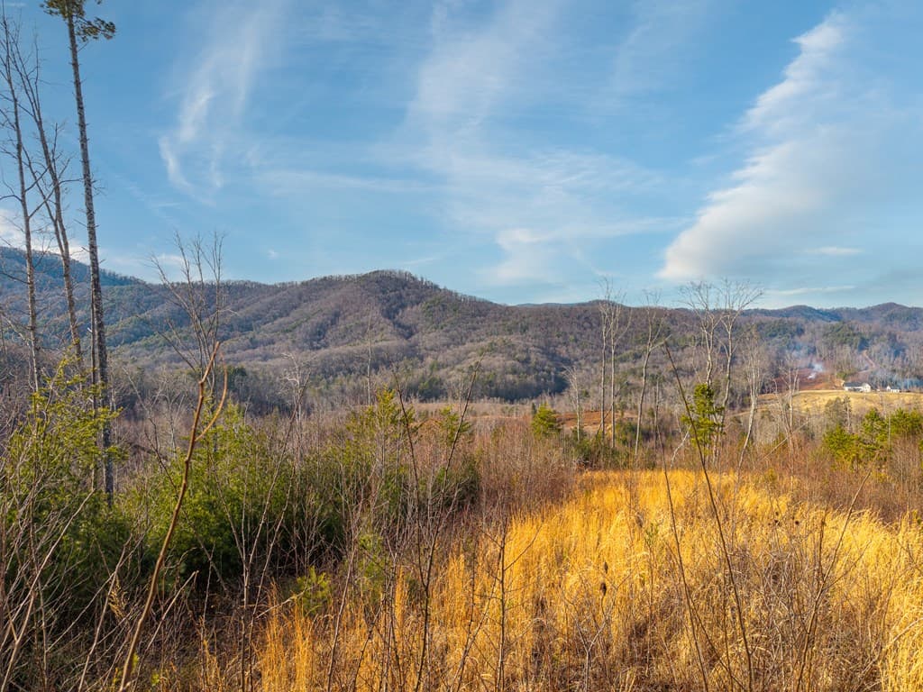156+ AC Higdon Creek Road, Blue Ridge GA 30513 - Photo