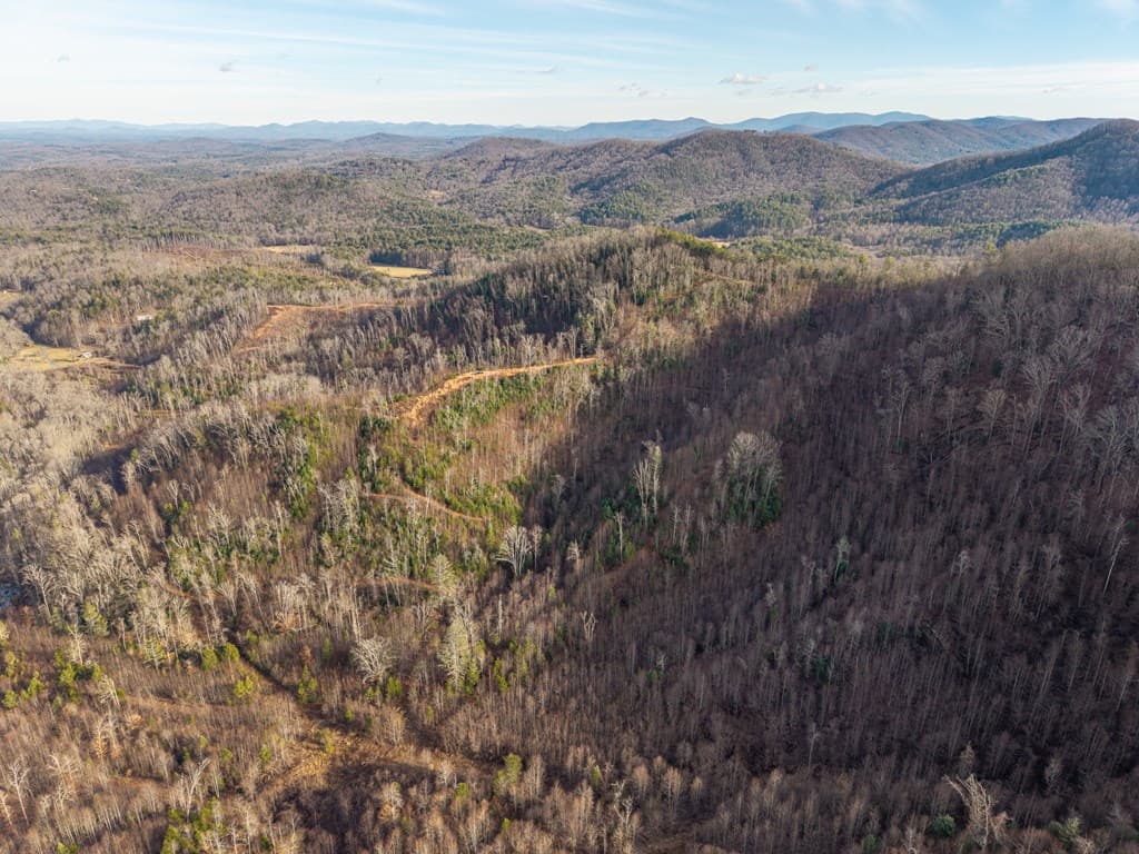 156+ AC Higdon Creek Road, Blue Ridge GA 30513 - Photo