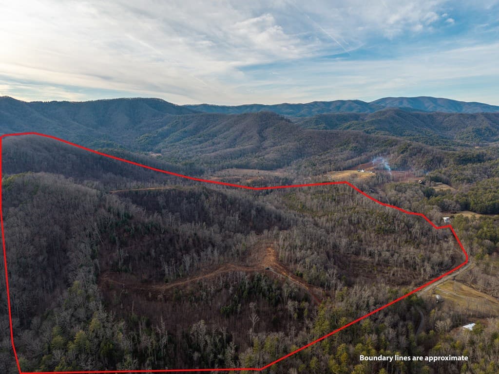156+ AC Higdon Creek Road, Blue Ridge GA 30513 - Photo
