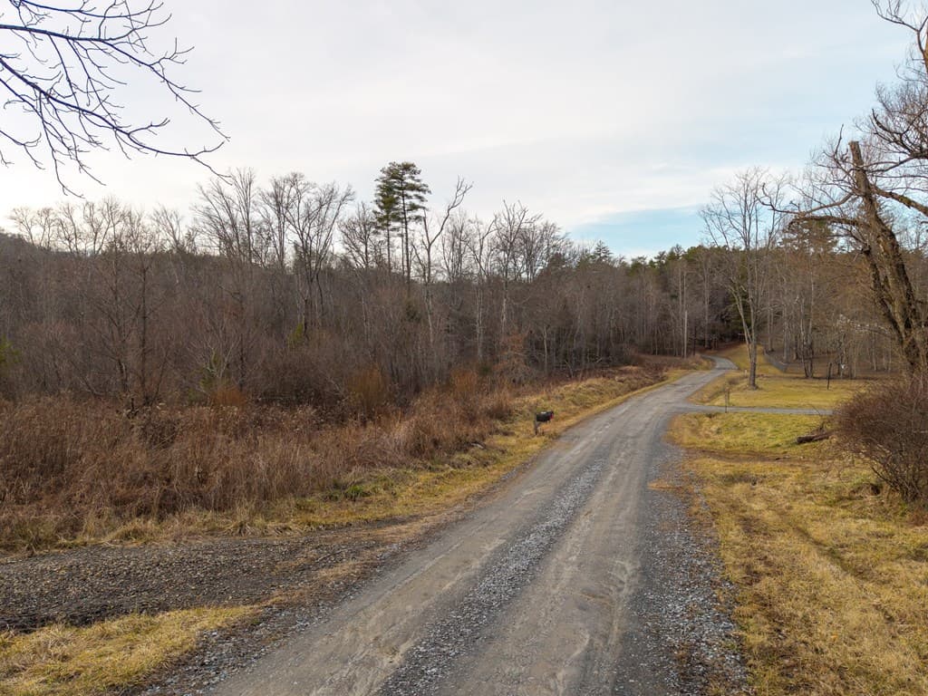 156+ AC Higdon Creek Road, Blue Ridge GA 30513 - Photo