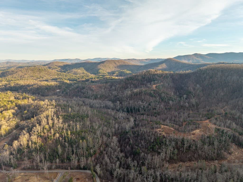 156+ AC Higdon Creek Road, Blue Ridge GA 30513 - Photo