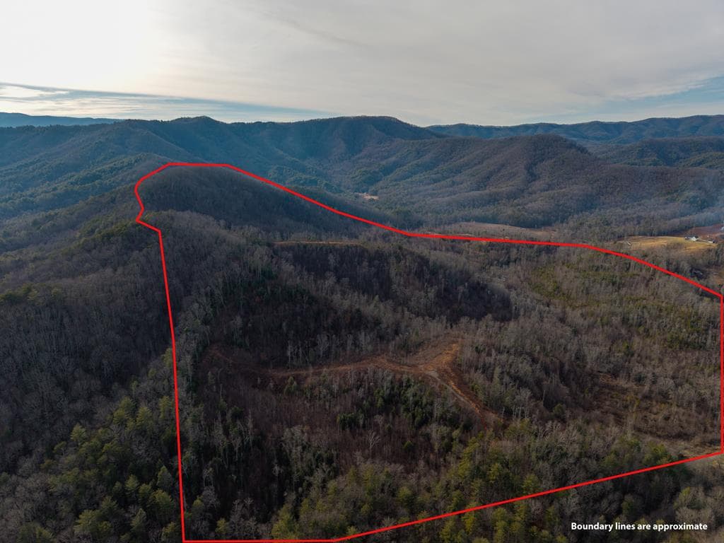 156+ AC Higdon Creek Road, Blue Ridge GA 30513 - Primary photo