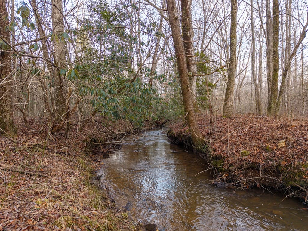 156+ AC Higdon Creek Road, Blue Ridge GA 30513 - Photo