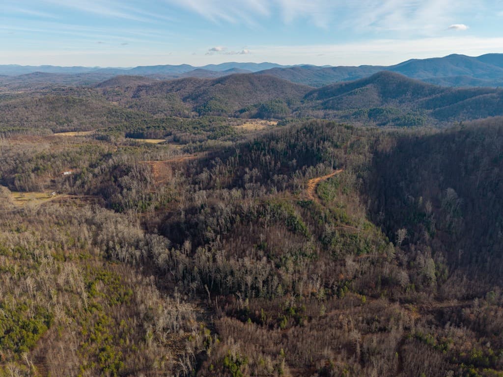 156+ AC Higdon Creek Road, Blue Ridge GA 30513 - Photo