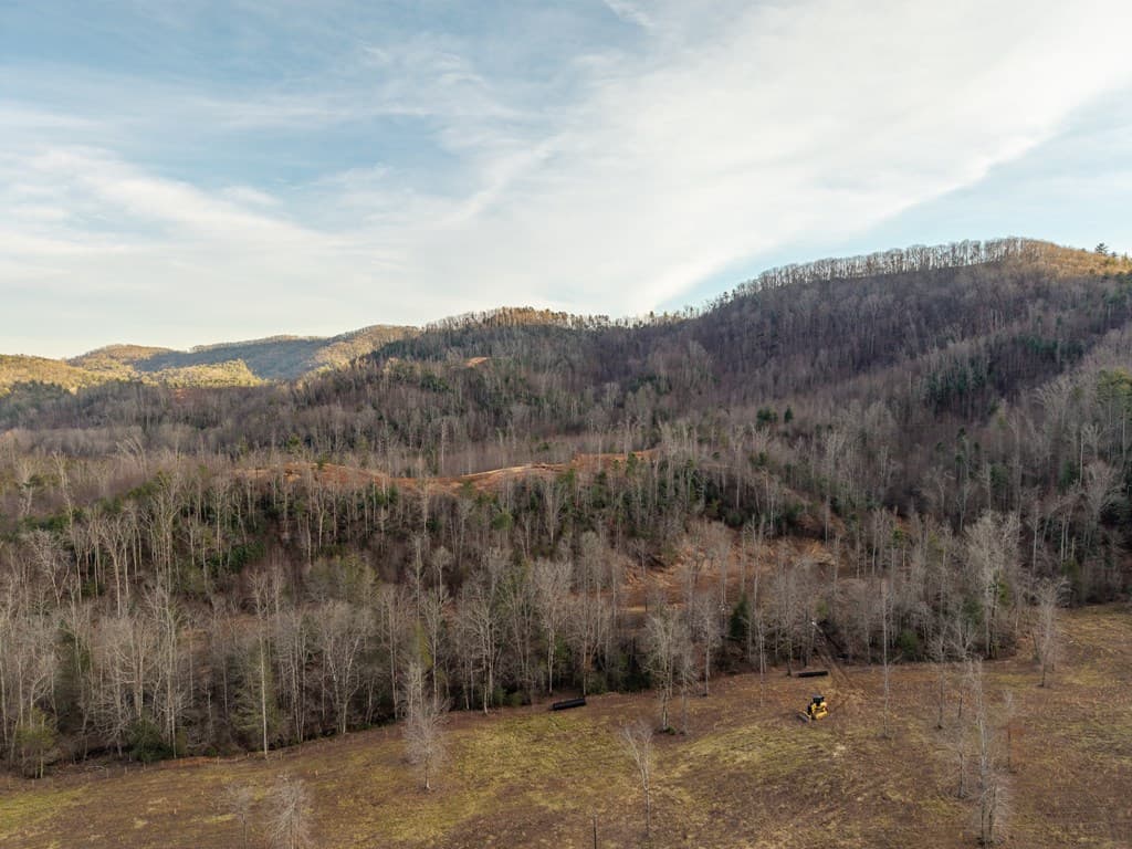 156+ AC Higdon Creek Road, Blue Ridge GA 30513 - Photo