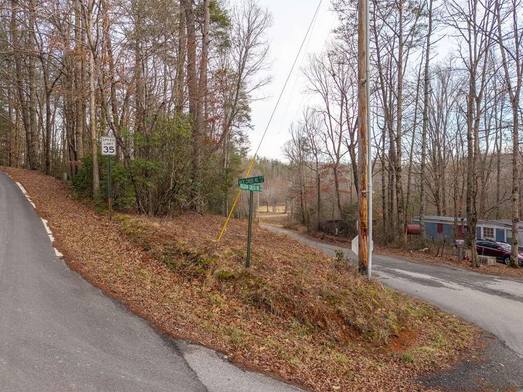 156+ AC Higdon Creek Road, Blue Ridge GA 30513 - Photo