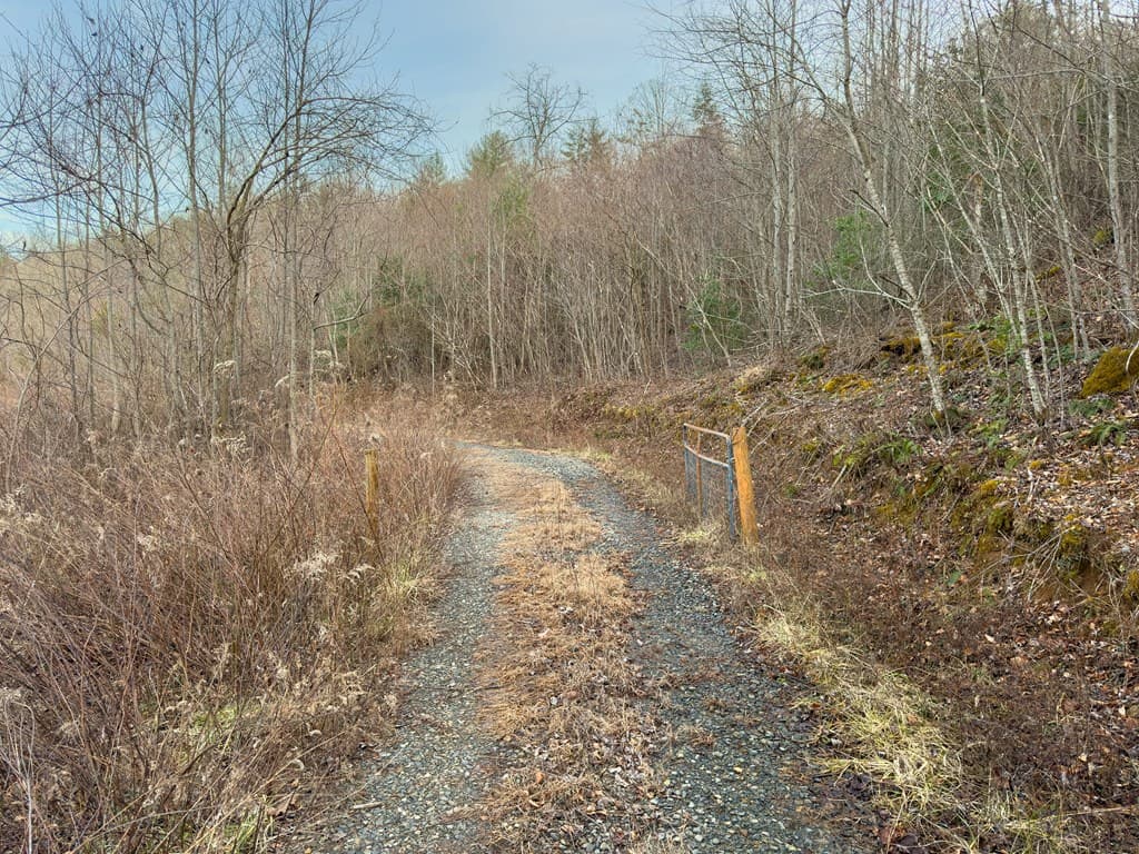 156+ AC Higdon Creek Road, Blue Ridge GA 30513 - Photo