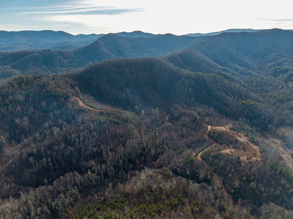 156+ AC Higdon Creek Road, Blue Ridge GA 30513 - Photo