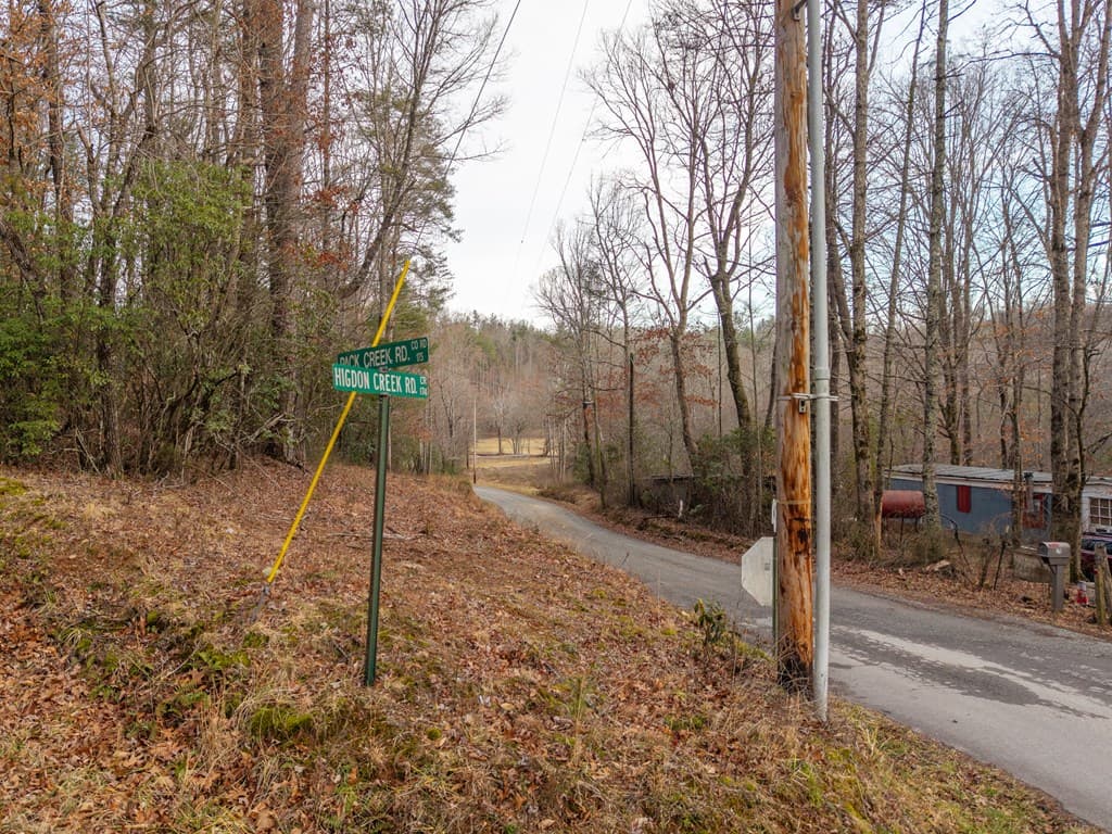 156+ AC Higdon Creek Road, Blue Ridge GA 30513 - Photo