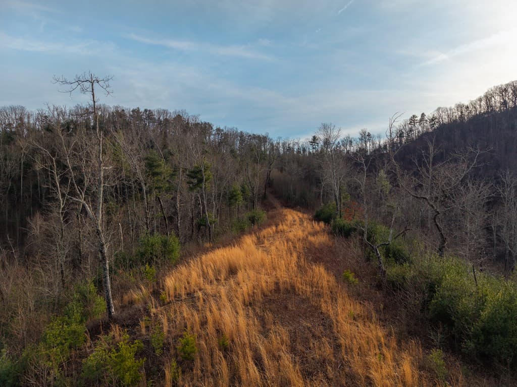 156+ AC Higdon Creek Road, Blue Ridge GA 30513 - Photo