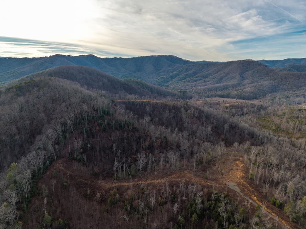 156+ AC Higdon Creek Road, Blue Ridge GA 30513 - Photo