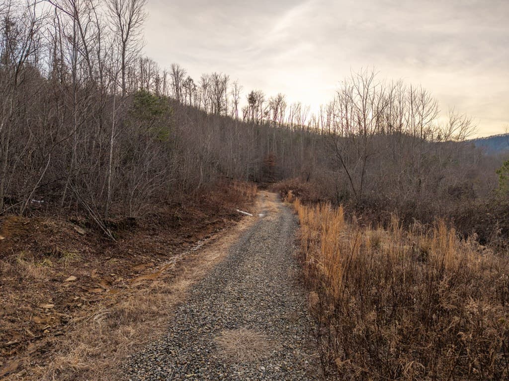 156+ AC Higdon Creek Road, Blue Ridge GA 30513 - Photo