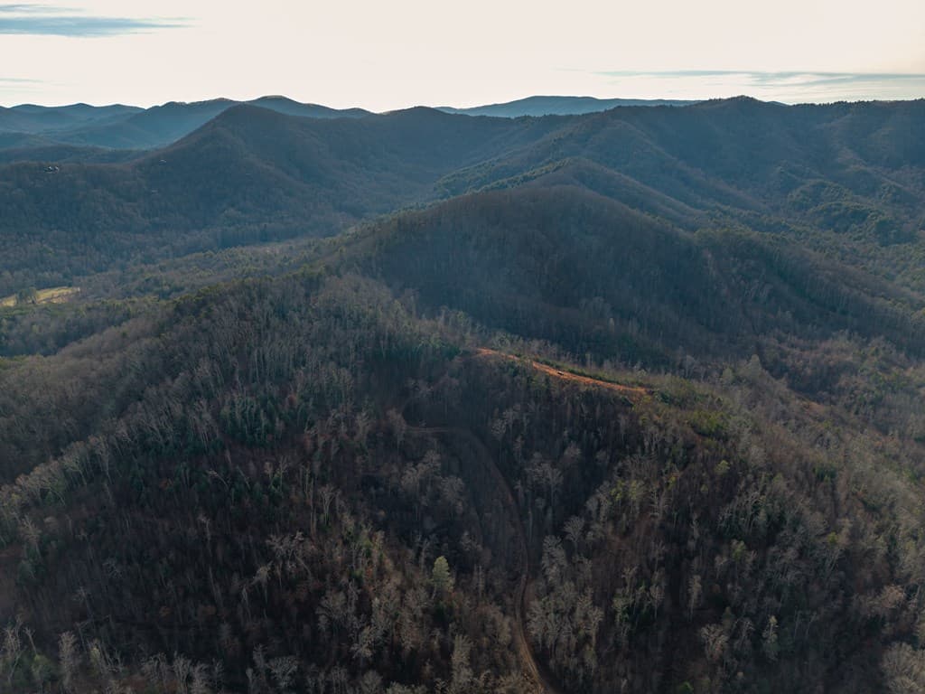 156+ AC Higdon Creek Road, Blue Ridge GA 30513 - Photo