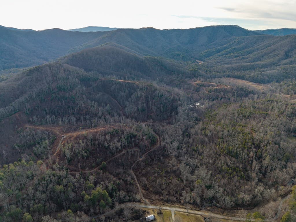156+ AC Higdon Creek Road, Blue Ridge GA 30513 - Photo