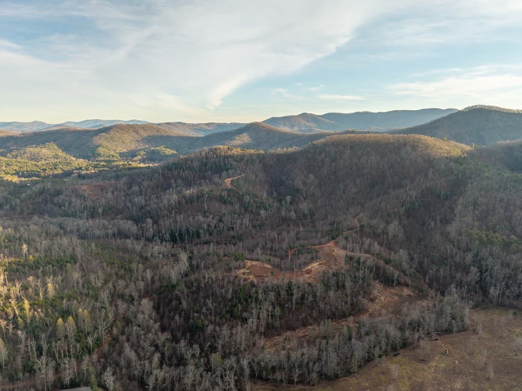 156+ AC Higdon Creek Road, Blue Ridge GA 30513 - Photo