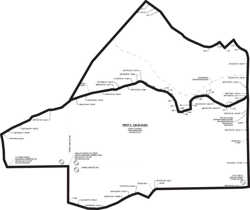 156+ AC Higdon Creek Road, Blue Ridge GA 30513 - Photo