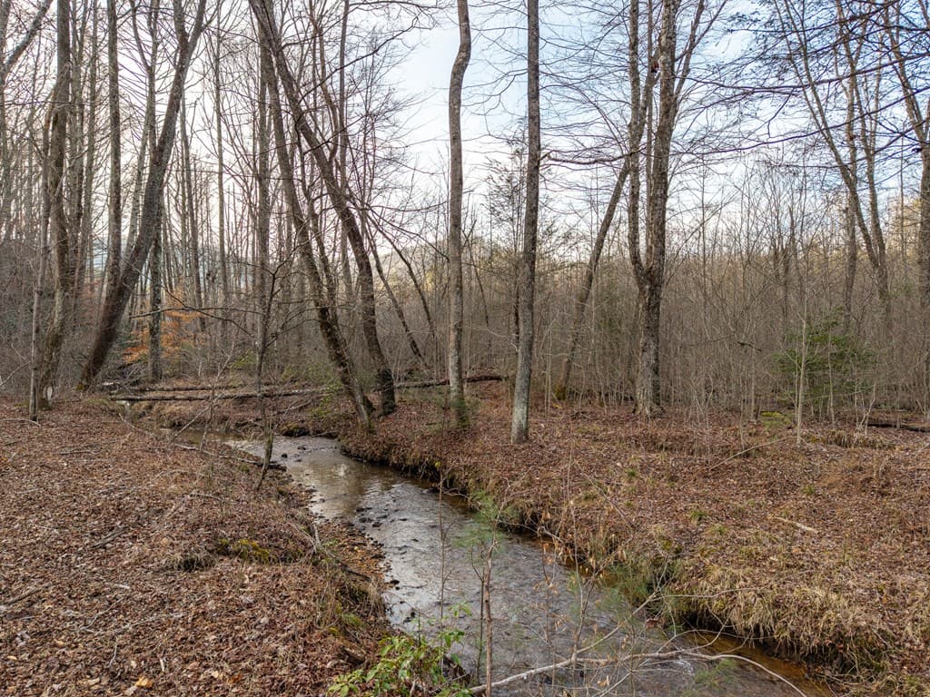 156+ AC Higdon Creek Road, Blue Ridge GA 30513 - Photo