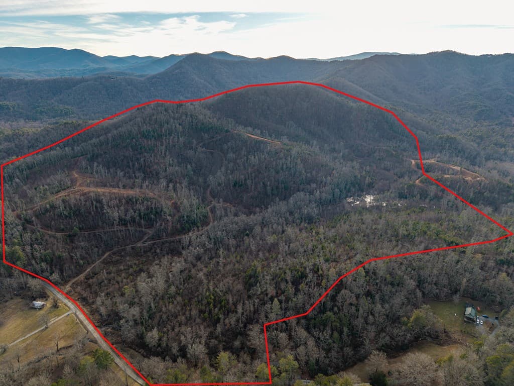 156+ AC Higdon Creek Road, Blue Ridge GA 30513 - Photo