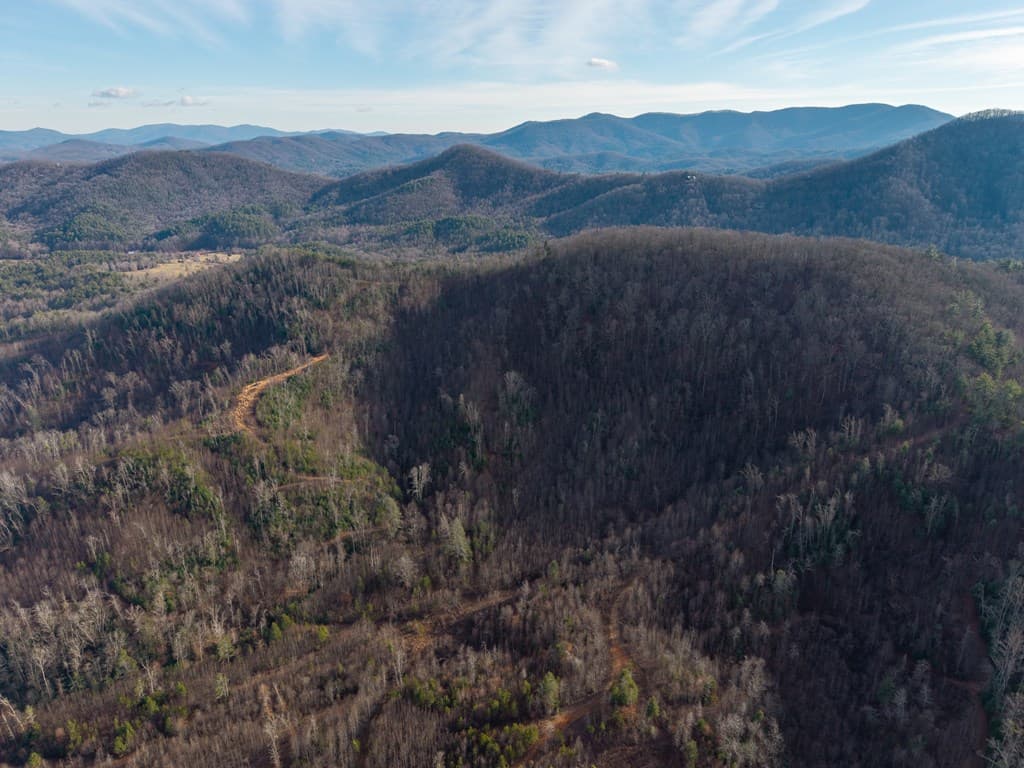 156+ AC Higdon Creek Road, Blue Ridge GA 30513 - Photo