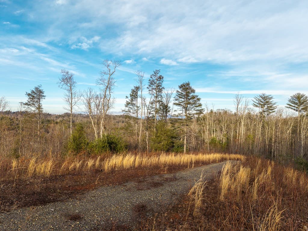156+ AC Higdon Creek Road, Blue Ridge GA 30513 - Photo