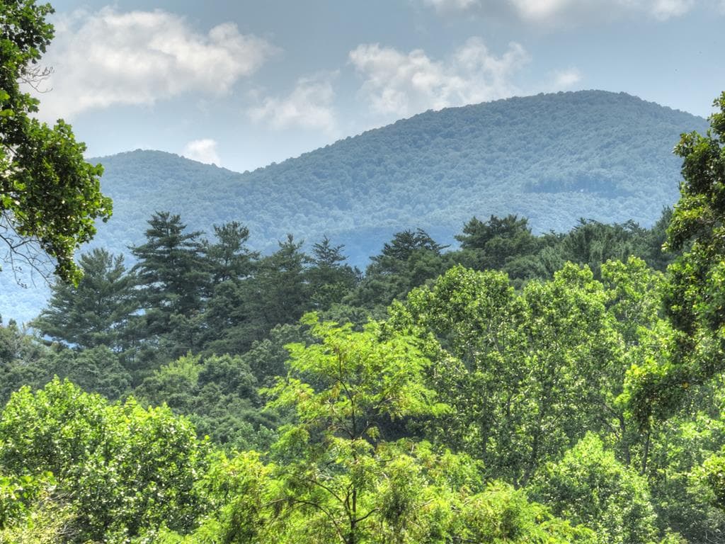 Lot 4 Greystone Trace, Ellijay GA 30536 - Primary photo