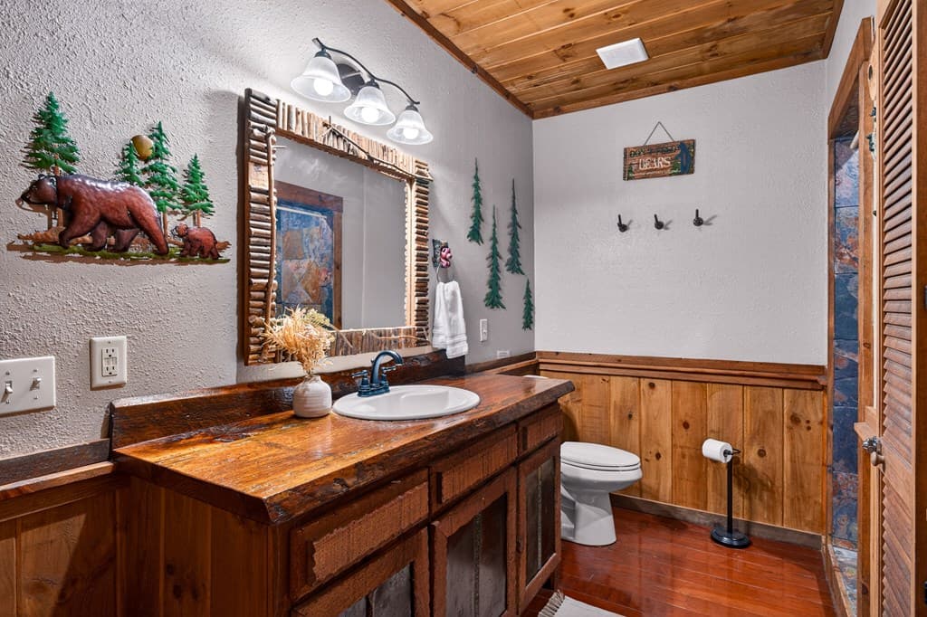 40 Adelaide Trail, Blue Ridge GA 30513 - Photo