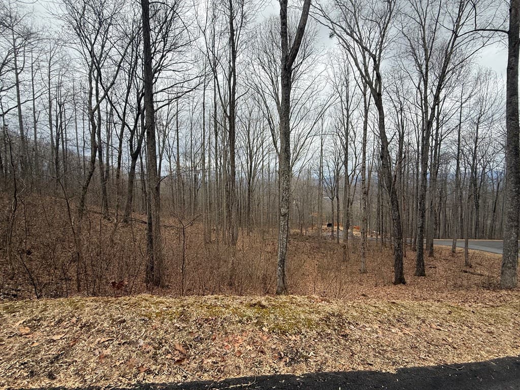 Lot 7 Rocky Knob Drive, Young Harris GA 30582 - Photo