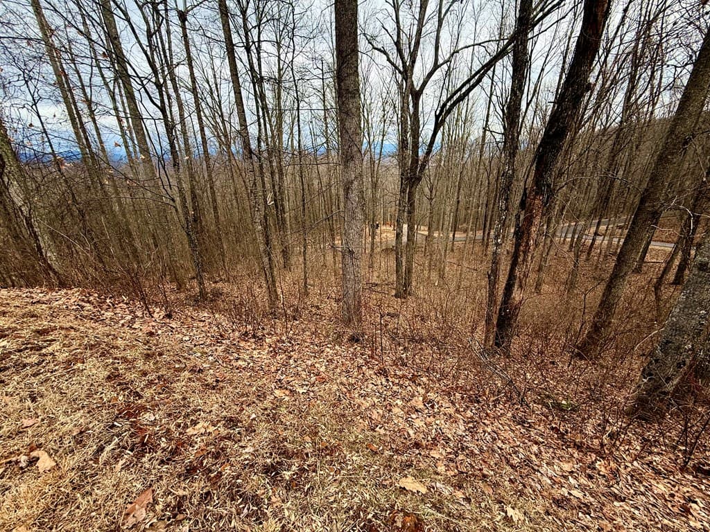 Lot 7 Rocky Knob Drive, Young Harris GA 30582 - Photo