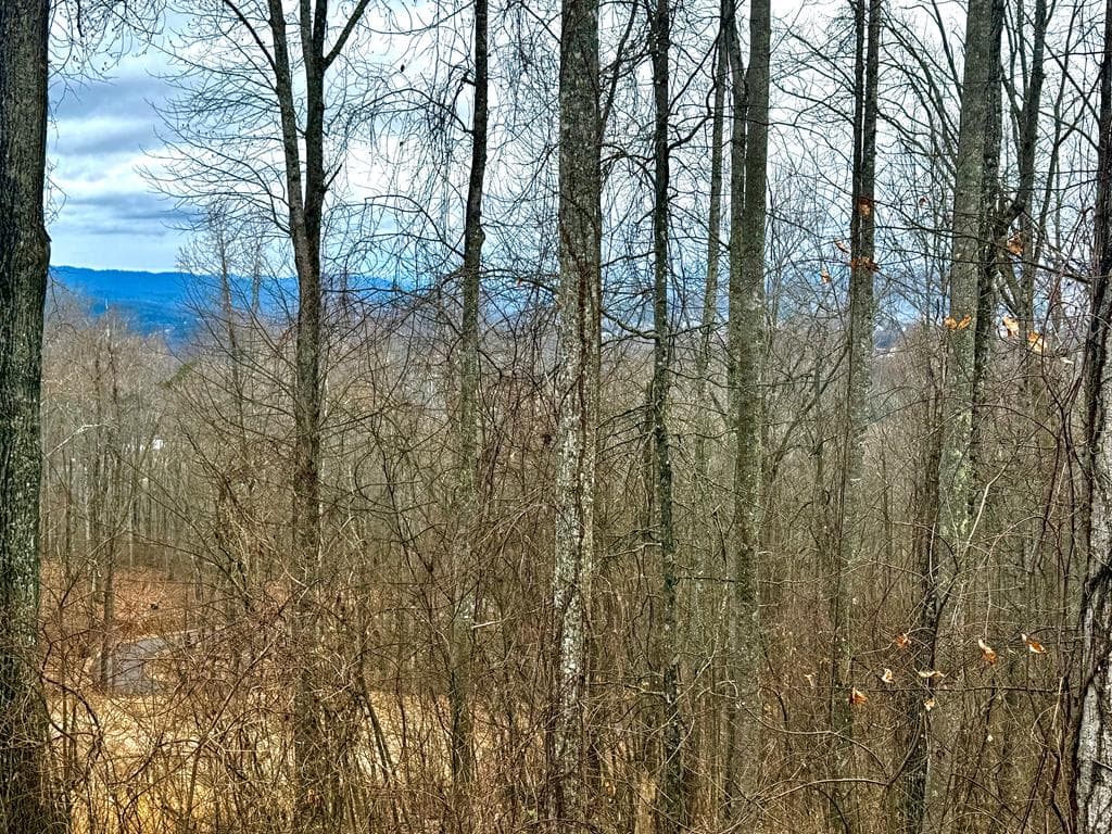 Lot 7 Rocky Knob Drive, Young Harris GA 30582 - Primary photo