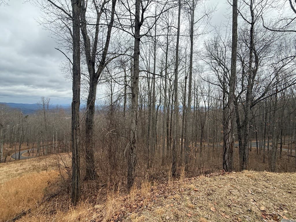 Lot 7 Rocky Knob Drive, Young Harris GA 30582 - Photo