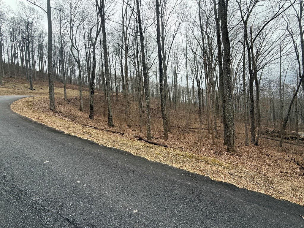 Lot 7 Rocky Knob Drive, Young Harris GA 30582 - Photo