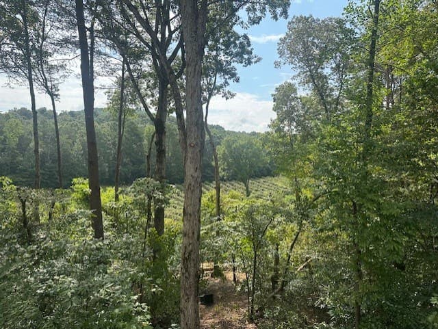 167 Meadow View Court, Ellijay GA 30536 - Photo