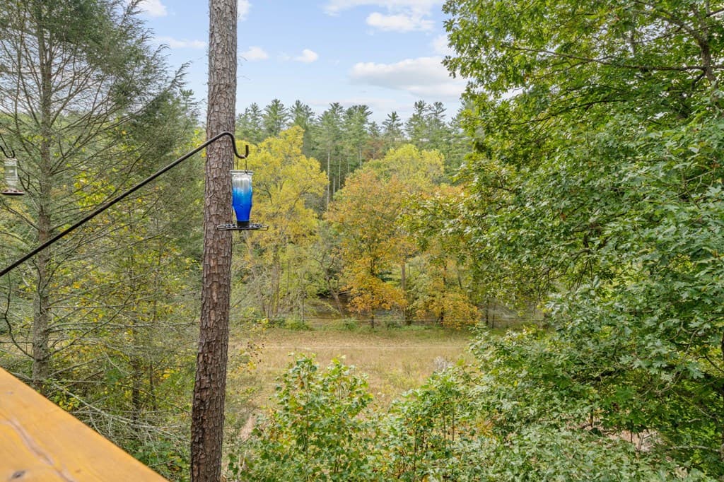 292 Silver Fox Trail, Blue Ridge GA 30513 - Photo