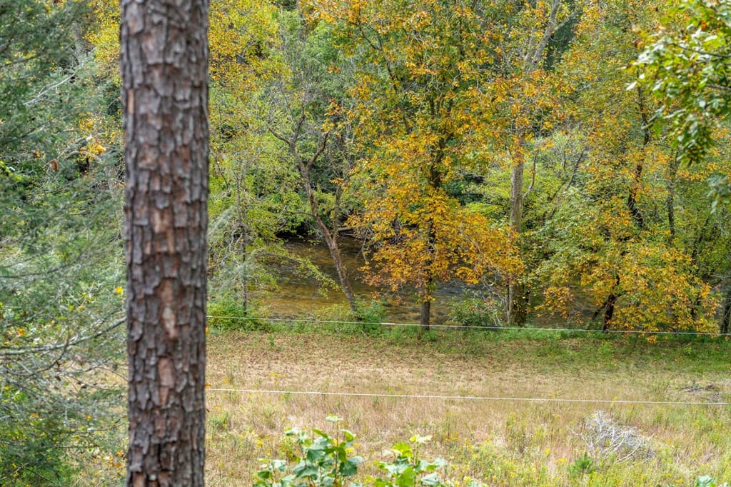 292 Silver Fox Trail, Blue Ridge GA 30513 - Photo