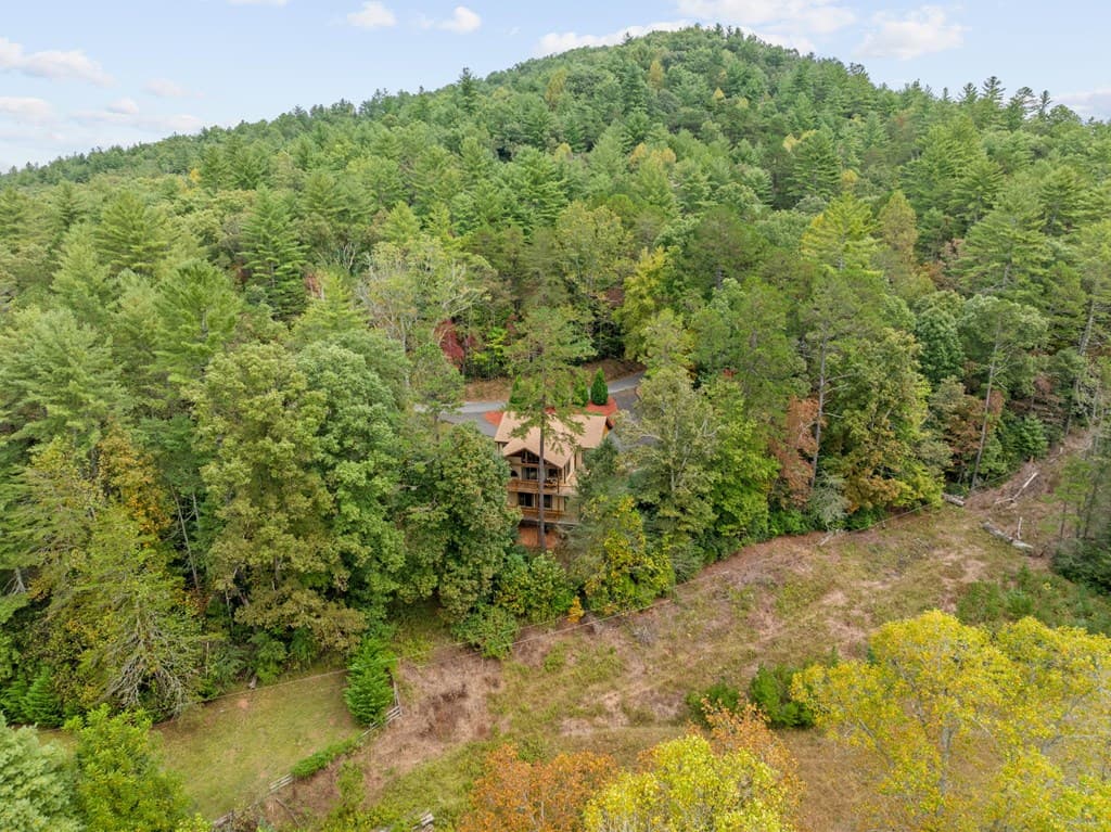292 Silver Fox Trail, Blue Ridge GA 30513 - Photo