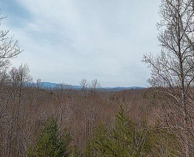 76 Channing Hollow, Morganton GA 30560 - Photo