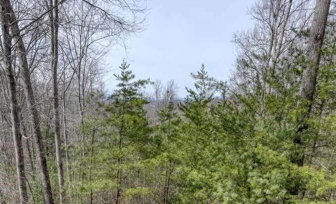 76 Channing Hollow, Morganton GA 30560 - Photo